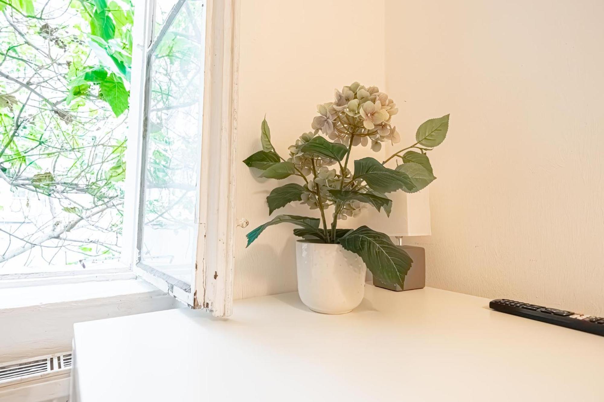 Central Belvedere 3Br Shared Apartment - 12 Min From City Center Wien Eksteriør billede